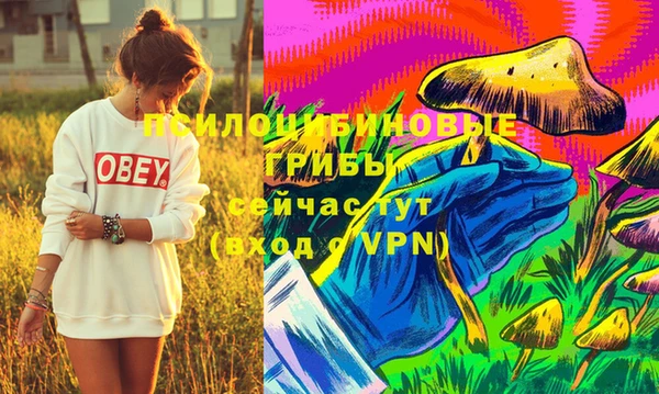 индика Заволжск