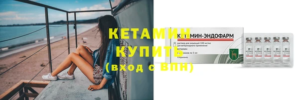 ПСИЛОЦИБИНОВЫЕ ГРИБЫ Новозыбков