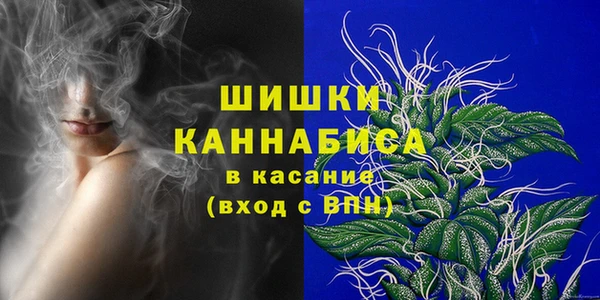 ПСИЛОЦИБИНОВЫЕ ГРИБЫ Новозыбков