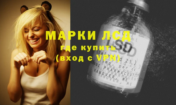 эйфоретик Новодвинск