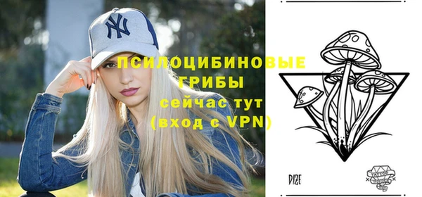 эйфоретик Новокубанск