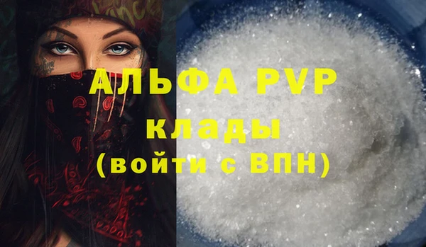 ПСИЛОЦИБИНОВЫЕ ГРИБЫ Новозыбков