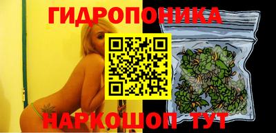 шишки Беслан