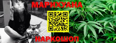 прущие грибы Камышлов