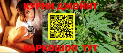прущие грибы Камышлов