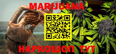 прущие грибы Камышлов