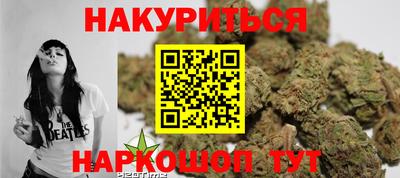стаф Кандалакша