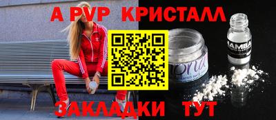 прущие грибы Камышлов