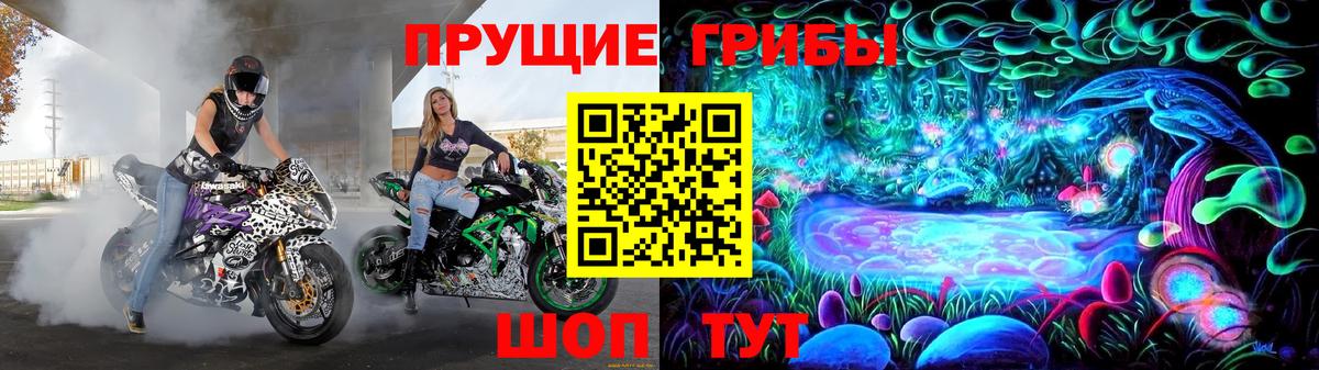 Псилоцибиновые грибы GOLDEN TEACHER  Вход с VPN  Крымск 